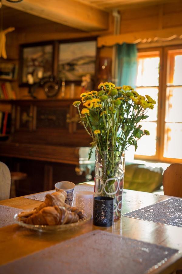 Villa Gosciniec Tokarzonka à Istebna Extérieur photo